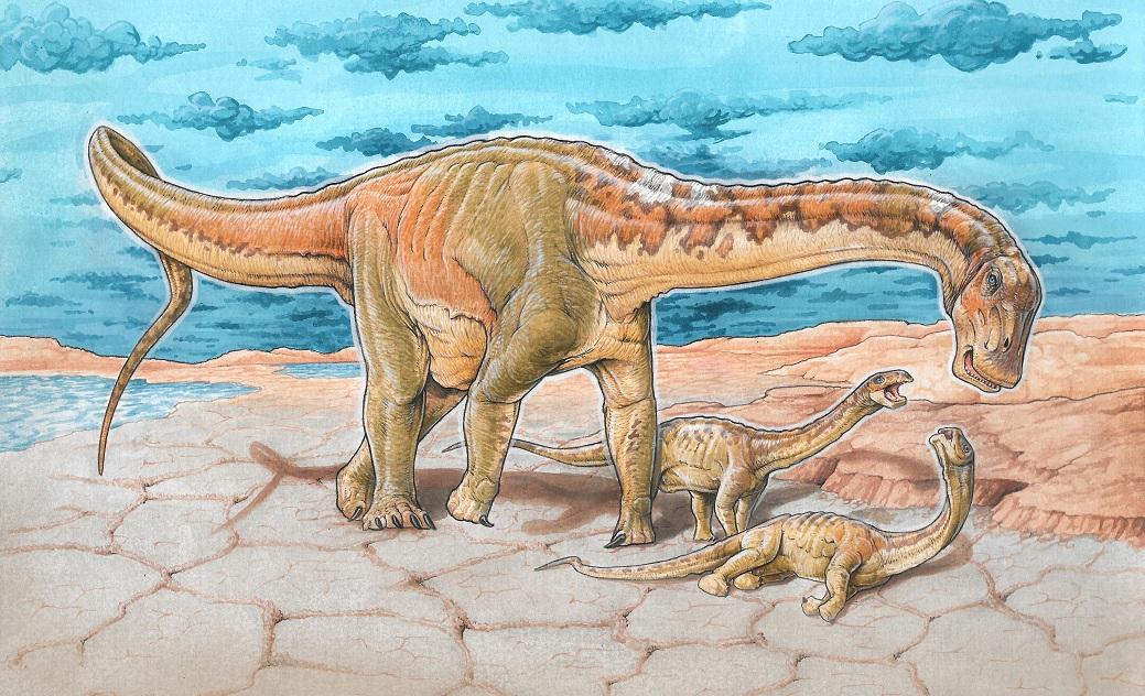 lavocatisaurus, sauropod, dinosaur, argentina