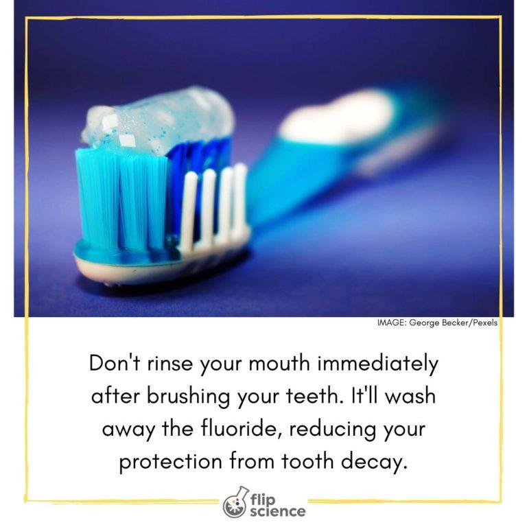 Flipfact January 16 2020 Should You Rinse Your Mouth After Brushing 