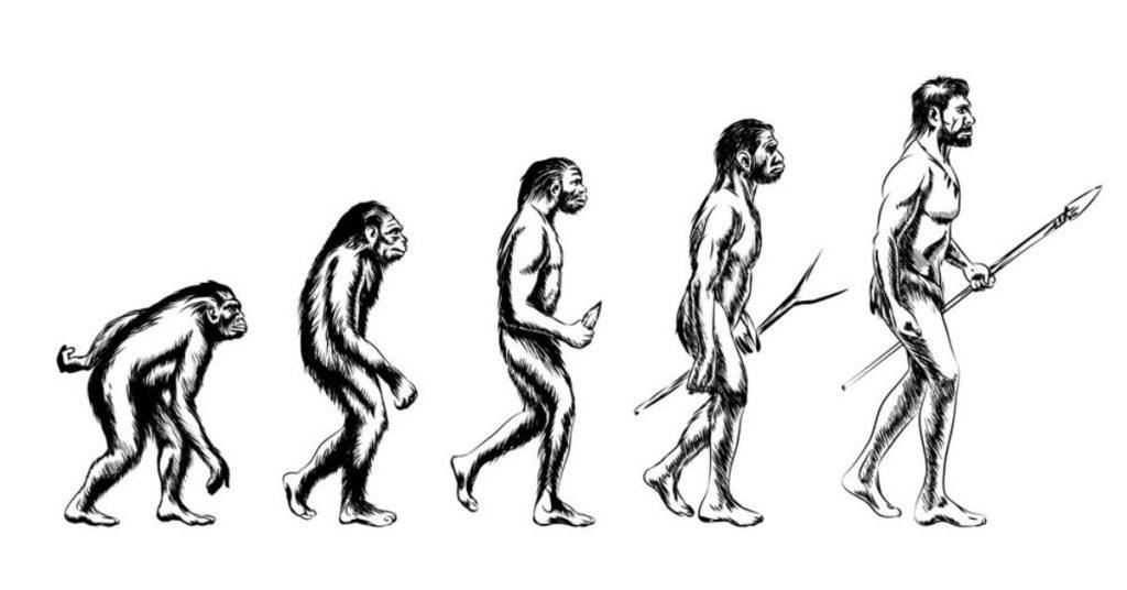 the missing link human evolution solution